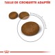 Image montrant trois tailles de croquettes pour animaux de compagnie avec le texte "TAILLE DE CROQUETTE ADAPTÉE" en haut, indiquant la taille appropriée des croquettes.