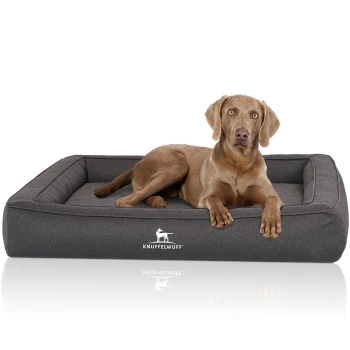 Orthopädisches Hundebett aus Velours mit Handwebcharakter Yukon anthrazit XXXL Ein brauner Hund liegt auf einem grauen rechteckigen Hundebett mit erhöhten Rändern, mit dem Logo "KNUFFELWUFF."