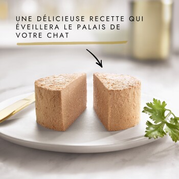 Morceaux de pâté pour chat sur une assiette avec du persil, un couteau doré et une flèche ; le titre en français commence par « UNE DÉLICIEUSE RECETTE... »