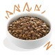 A white bowl filled with brown pet food kibble, surrounded by playful orange graphics suggesting excitement.