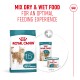 Royal Canin 15+ dry and wet cat food for senior cats over 15 years old, promoting optimal feeding experience.