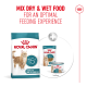 Royal Canin 15+ dry and wet cat food for senior cats over 15 years old, promoting optimal feeding experience.