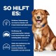 Hund mit blauem Halsband, mit Text über die Vorteile für futtersensible Hunde: Hautverbesserung, Juckreizlinderung und bessere Barrierefunktion.