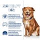 Hund mit blauem Halsband, mit Text über die Vorteile für futtersensible Hunde: Hautverbesserung, Juckreizlinderung und bessere Barrierefunktion.