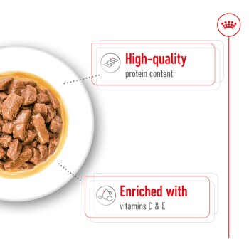 Bowl of pet food featuring chunks of meat, with text highlighting "High-quality protein content" and "Enriched with vitamins C & E."