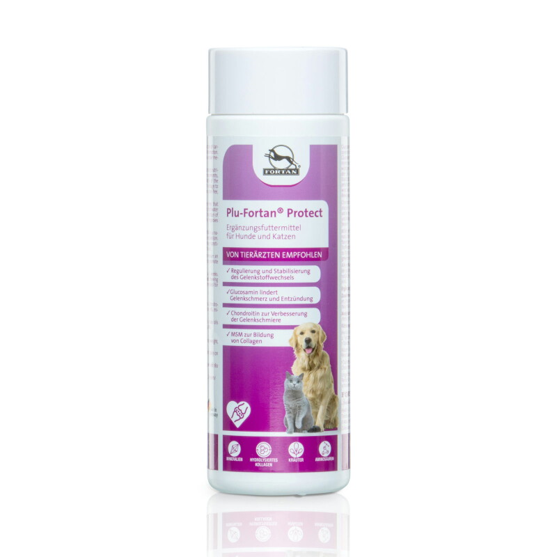 Fortan Plu-Fortan Protect Tabletten mit MSM 350 g