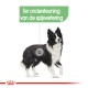 Illustratie van een Border Collie met een groen label met de tekst "Ter ondersteuning van de spijsvertering" dat aangeeft dat het spijsverteringsondersteuning biedt.