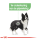 Illustratie van een Border Collie met een groen label met de tekst "Ter ondersteuning van de spijsvertering" dat aangeeft dat het spijsverteringsondersteuning biedt.