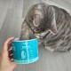 Calm Cat Katzenberuhigungssnacks mit Vorteilen auf Deutsch aufgelistet und eine getigerte Katze liegt neben der Produktdose.