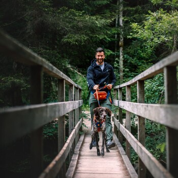 Eine Person geht mit einem gescheckten Hund über eine Holzbrücke, umgeben von üppigem Grün, trägt einen schwarzen Hoodie und eine orangefarbene Tasche.