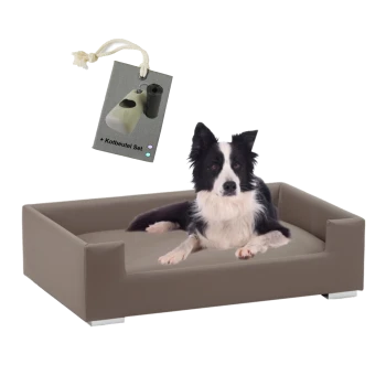 Ein schwarz-weißer Border Collie liegt auf einem stilvollen braunen Hundebett, begleitet von einem Etikett, das '+ Kotbeutel Set' liest.
