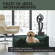 Eine entspannte Französische Bulldogge liegt auf einem grünen, gerippten Hundebett mit der Aufschrift "Anti-Rutsch," mit einer Nahaufnahme des rutschfesten Bodens.