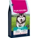 Sac de nourriture pour chiens adultes Eukanuba pour grandes races 25-40 kg, riche en saumon et orge, emballage de 12 kg.