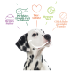 Un Dalmatien souriant sur un fond blanc avec des bulles de texte colorées : "Reines Futter," "Perfektes Eiweiß," "Tierschutz," "Bessere Welt," "Glückliche Hunde."