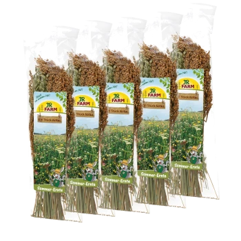 Fünf verpackte JR FARM getrocknete Hirseähren für Kleintiere; Etiketten zeigen „JR FARM“, „Ein Stück Natur“, „Sommer-Ernte“