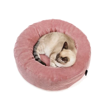 Creme-braune Siamkatze, zusammengerollt in einem runden rosafarbenen Cord-Donut-Haustierbett.