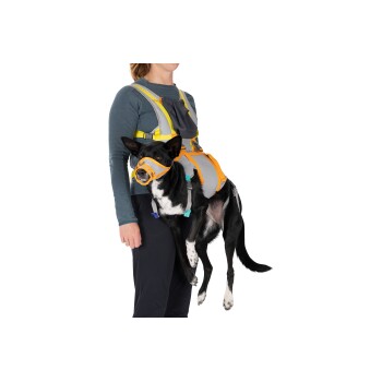 Eine Frau, die ein blaues Langarmshirt und ein Geschirr trägt, hält einen schwarzen Hund in einem orange-grauen Unterstützungsgeschirr mit Maulkorb.