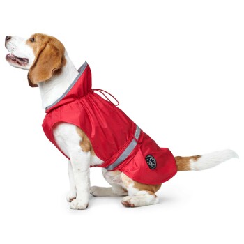 Ein Beagle trägt einen leuchtend roten Regenmantel mit reflektierenden Streifen, sitzt und schaut nach oben, was seinen verspielten Ausdruck zeigt.