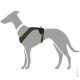 Eine graue Silhouette eines Hundes, der ein grünes Geschirr trägt, das das Design und die Passform des Geschirrs zeigt.