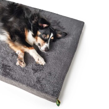 Ein schwarz-brauner Hund liegt bequem auf einem plüschigen grauen Hundebett und sieht entspannt und zufrieden aus.