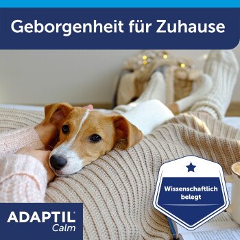 Hellbraun-weiß gefleckter Hund wird auf einer gestrickten Decke gestreichelt; sichtbare Texte: „Geborgenheit für Zuhause“ und „ADAPTIL Calm“.