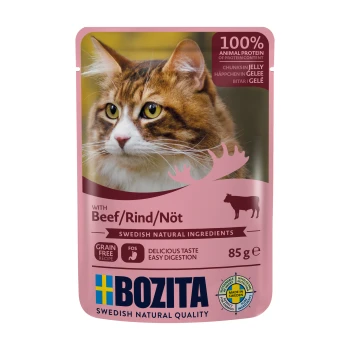 Pochette de nourriture pour chat avec un chat Maine Coon, étiquetée "Bozita" avec des détails "100% Animal Protein," "Boeuf," et "Sans Céréales."