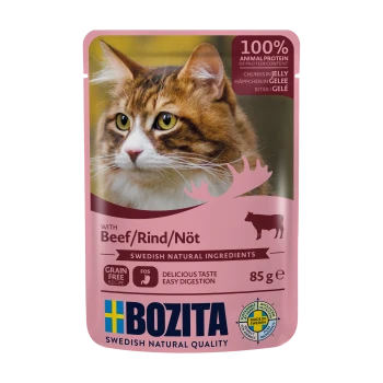 Katzenfutterbeutel mit einer Maine Coon Katze, beschriftet mit "Bozita" und den Details "100% Tierprotein", "Rind" und "Getreidefrei".