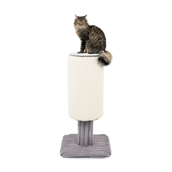 Eine flauschige getigerte Katze sitzt auf einem hohen, zylindrischen Kratzbaum mit einer weichen grauen Basis und zeigt ein gemütliches Haustierzubehör.