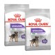 Zwei Tüten Royal Canin Hundefutter mit der Aufschrift 'Sterilised Mini', entworfen für Hunde bis zu 10 kg, die eine ideale Gewichtserhaltung mit -14% Kalorien fördern.