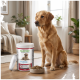 Golden Retriever sitzt neben einem Ergänzungsfuttermittelbehälter mit Aufschrift 'SUPPORT Optimize & Care' und einer Schale mit Pellets in einem Wohnzimmer