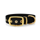 Schwarzes Haustierhalsband mit goldener Schnalle und Beschlägen, mit mehreren Löchern zur Anpassung.