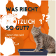 Eine graue getigerte Katze schaut aus einer Katzentoilette vor einem leuchtend orangefarbenen Hintergrund mit Orangenscheiben. Text: "Was riecht hier plötzlich so gut?"