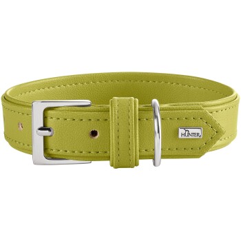 Limonengrünes Lederhundehalsband mit silberner Schließe und D-Ring, abgestepptem Rand und Metall-Logoschild mit der Aufschrift 'HUNTER'.