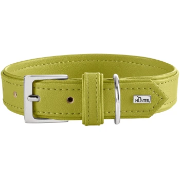 Limonengrünes Lederhundehalsband mit silberner Schließe und D-Ring, abgestepptem Rand und Metall-Logoschild mit der Aufschrift 'HUNTER'.
