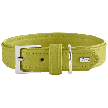 Limonengrünes Lederhundehalsband mit silberner Schließe und D-Ring, abgestepptem Rand und Metall-Logoschild mit der Aufschrift 'HUNTER'.