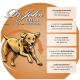 Illustration eines rennenden Hundes mit Text: Yucca für Gelenke, ätherische Öle für das Fell, Kroketten für die Zahngesundheit, Antioxidantien für die Immunität.