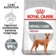 Torba z jedzeniem dla psów Royal Canin Dental Care, z medium-sized psem, z tekstem podkreślającym korzyści dla zdrowia jamy ustnej i 99% skuteczności.