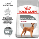 Torba z jedzeniem dla psów Royal Canin Dental Care, z medium-sized psem, z tekstem podkreślającym korzyści dla zdrowia jamy ustnej i 99% skuteczności.