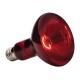 Rote Wärmelampe mit reflektierender Oberfläche und einem Standard-Schraubgewinde, entworfen für Haustierhabitate.