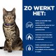 Een tabby kat met een blauwe halsband zit zelfverzekerd naast tekst die een gewichtsverliesproduct voor katten uitlegt, waarbij de natuurlijke effectiviteit wordt benadrukt.