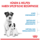 Zwei kleine Hunde mit deutschem Text, der ihre Bedürfnisse hervorhebt: "Hohe Energie", "Empfindliches Immunsystem" und "Empfindliche Verdauung."