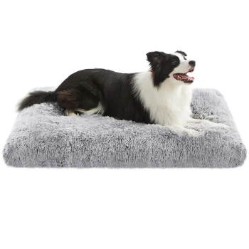 Schwarz-weißer Border Collie liegt auf einem großen, flauschigen grauen Haustierbett vor weißem Hintergrund.