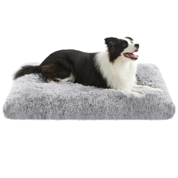 Schwarz-weißer Border Collie liegt auf einem großen, flauschigen grauen Haustierbett vor weißem Hintergrund.