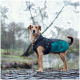 Ein brauner Hund, der einen schwarzen und türkisfarbenen wasserdichten Mantel trägt, steht auf einem Kopfsteinpflasterweg, mit Bäumen und einem Gewässer im Hintergrund.