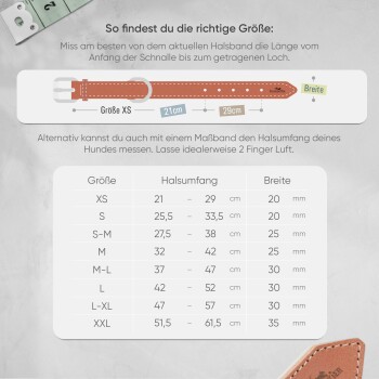 Größentabelle für Hundehalsbänder, die Maße für XS bis XXL zeigt, mit einer Illustration eines braunen Halsbands und Anweisungen zum Messen.