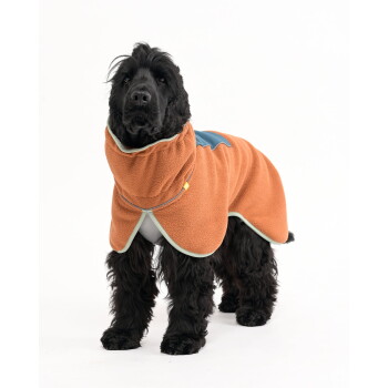 Schwarzer Cocker Spaniel trägt einen orangefarbenen Fleece-Hundemantel mit blauem und grauem Besatz vor weißem Hintergrund.