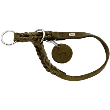 Geflochtenes olivgrünes Leder-Hundehalsband mit Metallringen und einem runden Anhänger mit einem Hundesilhouette.