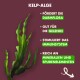 Beef Bites mit Kelp-Alge