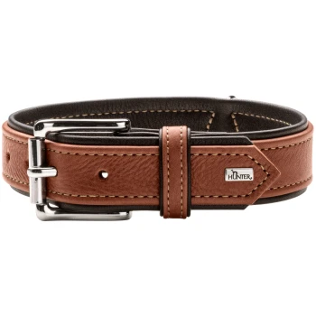 Ein stilvolles braunes Lederhalsband für Hunde mit einer silbernen Schnalle und Nähdetails, mit einem kleinen "HUNTER"-Logoschild.