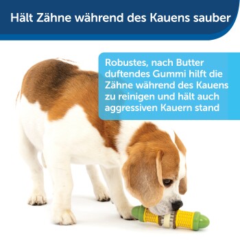 Beagle-Hund, der auf einem grünen und gelben Zahnpflege-Spielzeug kaut, mit dem Text, der besagt, dass es die Zähne beim Kauen sauber hält und für aggressive Kauer haltbar ist.